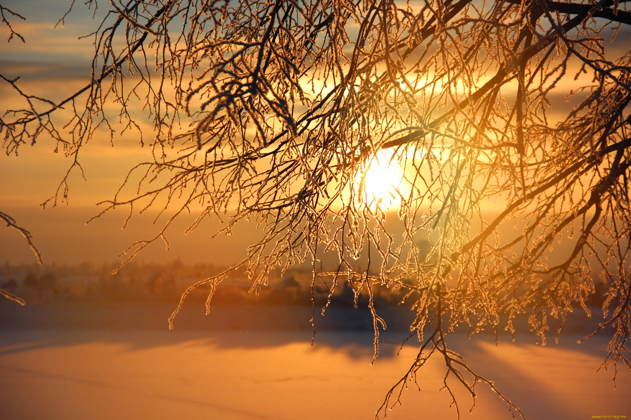 В морозные дни солнце восходит в тяжелом. Зимний рассвет. Рассвет зимой. Закат зимой. Зима солнце.
